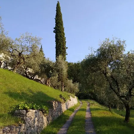 Villa Nell'uliveto