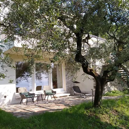 Villa Nell'uliveto *