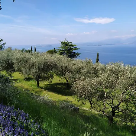 Nell'uliveto Villa Torri Del Benaco