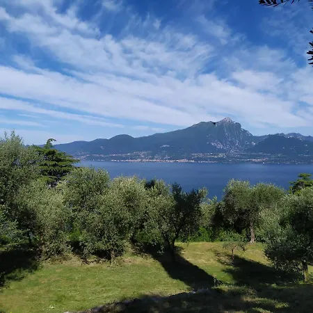 Nell'uliveto Villa *